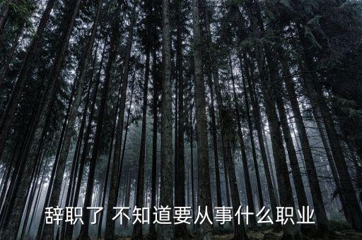 中國北車高志辭職做什么工作，辭職之后我該干什么