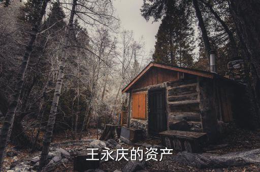 中航王永慶畢業(yè)什么大學(xué)，王永慶的一生