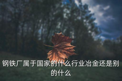 鋼鐵企業(yè)屬于什么行業(yè)，鋼鐵行業(yè) 是 什么