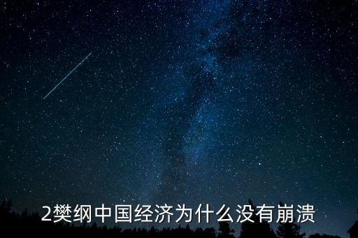 2樊綱中國經(jīng)濟為什么沒有崩潰