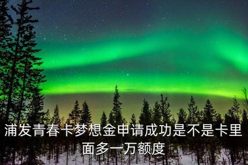 浦發(fā)青春卡夢(mèng)想金是什么，浦發(fā)青春卡61到手申請(qǐng)請(qǐng)了夢(mèng)想金轉(zhuǎn)固定額度不行已查夢(mèng)想金有一