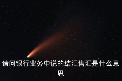 請(qǐng)問銀行業(yè)務(wù)中說的結(jié)匯售匯是什么意思