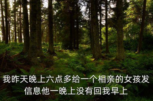 我昨天晚上六點(diǎn)多給一個(gè)相親的女孩發(fā)信息他一晚上沒有回我早上