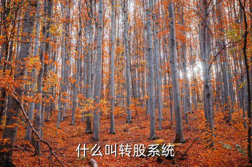 什么叫轉股系統(tǒng)