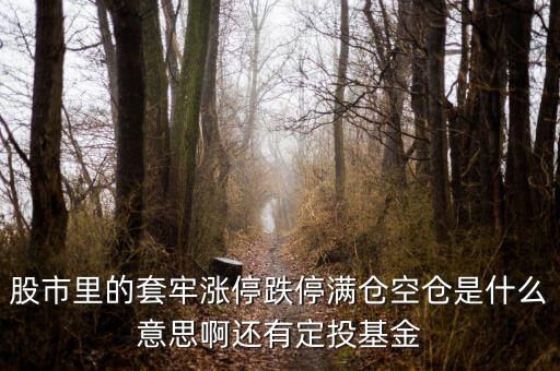 股市里的套牢漲停跌停滿倉空倉是什么意思啊還有定投基金