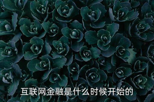 互聯(lián)網(wǎng)金融什么時(shí)候興起，互聯(lián)網(wǎng)金融是什么時(shí)候開(kāi)始的