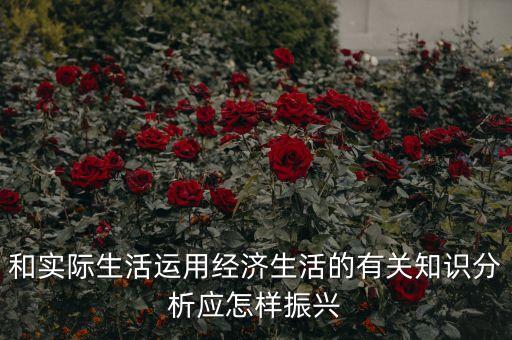 和實(shí)際生活運(yùn)用經(jīng)濟(jì)生活的有關(guān)知識分析應(yīng)怎樣振興