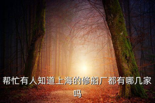上海華利船舶工程有限公司是什么樣的企業(yè)，外高橋船廠南匯分廠再那里