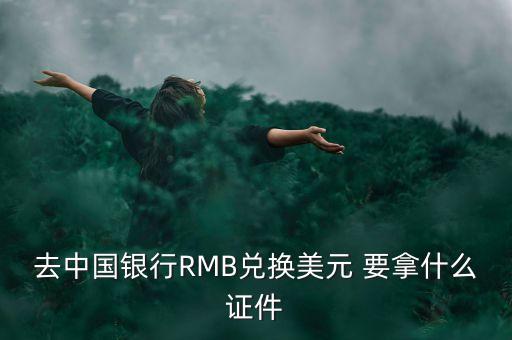 兌換美元需要什么手續(xù)，去中國銀行RMB兌換美元 要拿什么證件