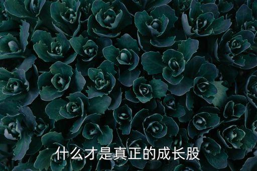 什么才是真正的成長股