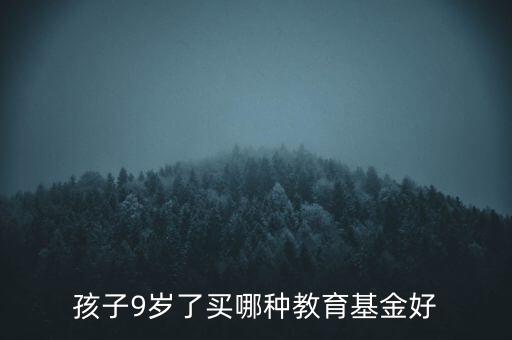 給寶寶買什么基金好，我孩子還不到兩歲給她買什么教育基金好