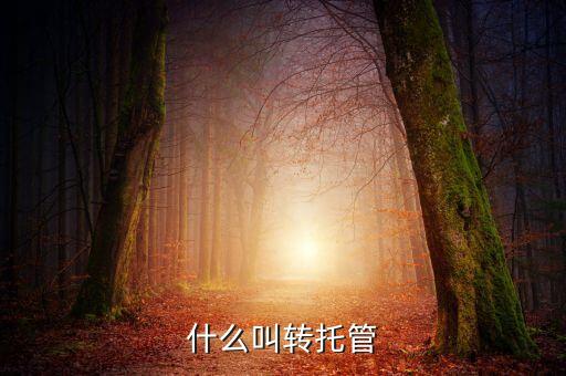 什么叫轉(zhuǎn)托管