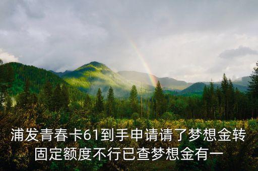 浦發(fā)青春卡61到手申請(qǐng)請(qǐng)了夢(mèng)想金轉(zhuǎn)固定額度不行已查夢(mèng)想金有一