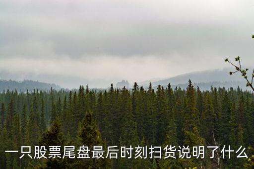 尾盤掃貨什么意思，一只股票尾盤最后時(shí)刻掃貨說明了什么