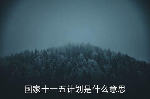 國家十一五計劃是什么意思