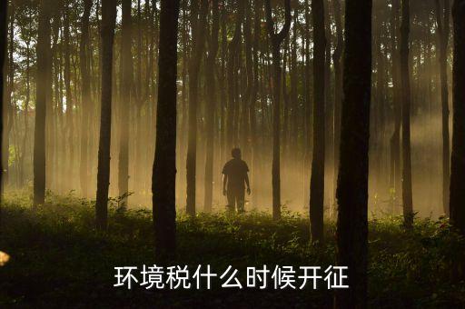 環(huán)境稅什么時候開征