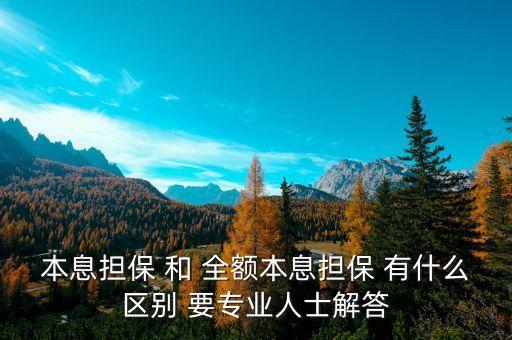 本息擔保 和 全額本息擔保 有什么區(qū)別 要專業(yè)人士解答
