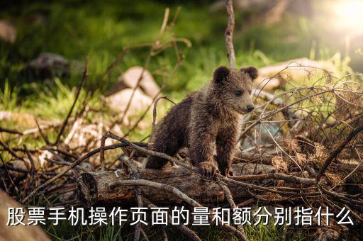 手機(jī)炒股成交量是什么單位，剛才忘了問了成交量的單位是什么是手嗎謝謝