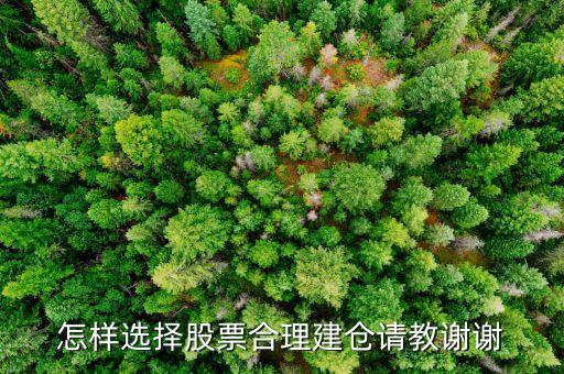 怎樣選擇股票合理建倉(cāng)請(qǐng)教謝謝