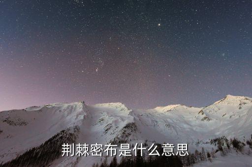 荊棘密布是什么意思，荊棘密布是什么意思