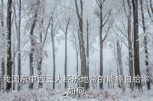 什么是能源自給率，我國(guó)東中西三大經(jīng)濟(jì)地帶的能源自給率如何