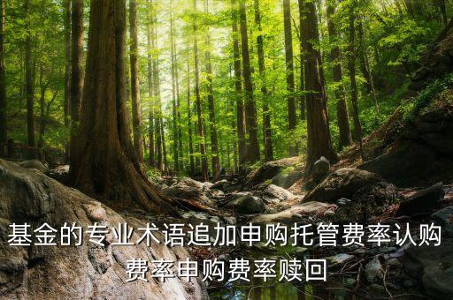 基金的專業(yè)術(shù)語追加申購?fù)泄苜M(fèi)率認(rèn)購費(fèi)率申購費(fèi)率贖回