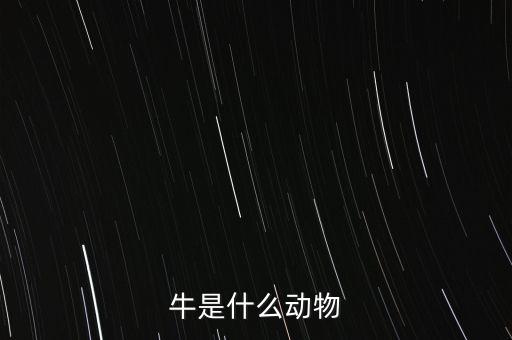 牛是什么動物