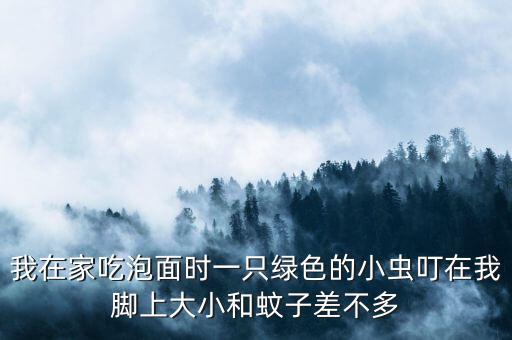 我在家吃泡面時一只綠色的小蟲叮在我腳上大小和蚊子差不多