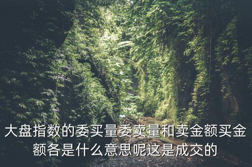 大盤指數(shù)的委買量委賣量和賣金額買金額各是什么意思呢這是成交的