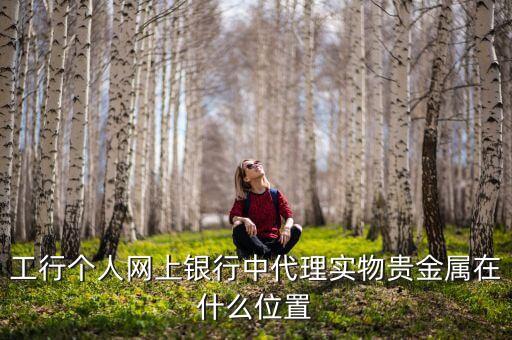 工行個(gè)人網(wǎng)上銀行中代理實(shí)物貴金屬在什么位置
