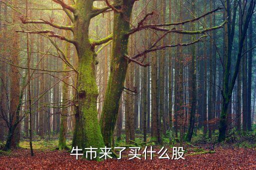 牛市來了買什么股