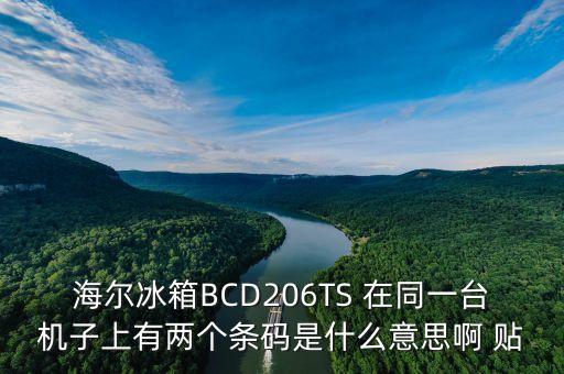 海爾內(nèi)銷什么意思，海爾冰箱BCD206TS 在同一臺機子上有兩個條碼是什么意思啊 貼