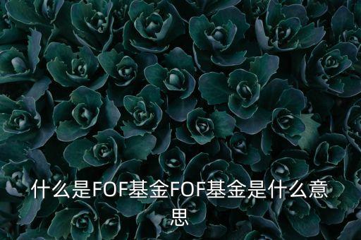什么是FOF基金FOF基金是什么意思