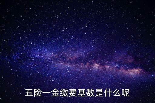 五險(xiǎn)基數(shù)是什么意思，五險(xiǎn)一金繳費(fèi)基數(shù)是什么呢