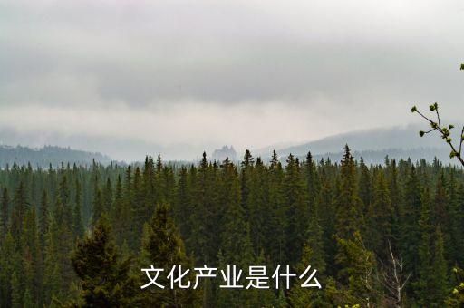 中投文化產(chǎn)業(yè)是什么，什么是文化產(chǎn)業(yè)