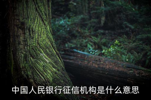 什么是征信局，中國(guó)人民銀行征信機(jī)構(gòu)是什么意思