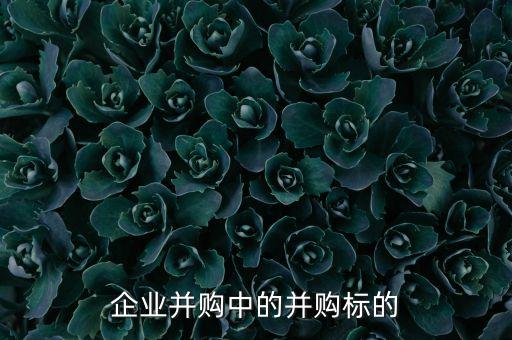 企業(yè)并購(gòu)中的并購(gòu)標(biāo)的