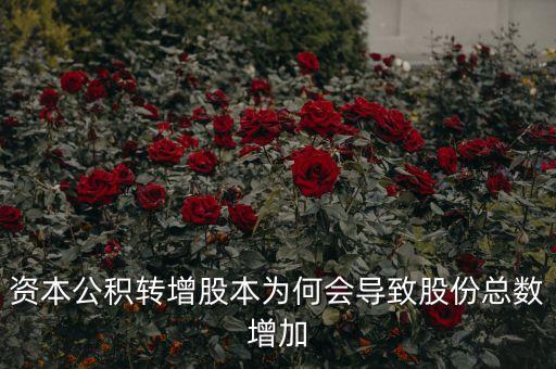 資本公積轉(zhuǎn)增股本為何會(huì)導(dǎo)致股份總數(shù)增加