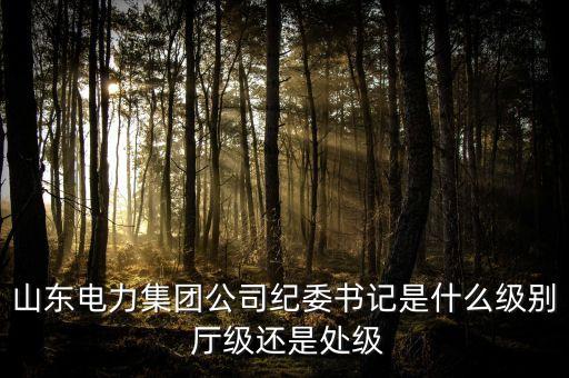 央企的紀(jì)委書記什么級別，副部級國有企業(yè)紀(jì)檢監(jiān)察主任是什么級別