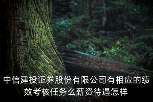 中信建投證券股份有限公司有相應的績效考核任務么薪資待遇怎樣