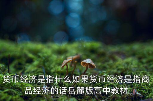 貨幣經(jīng)濟是指什么如果貨幣經(jīng)濟是指商品經(jīng)濟的話岳麓版高中教材