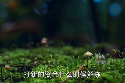打新的資金什么時候解凍