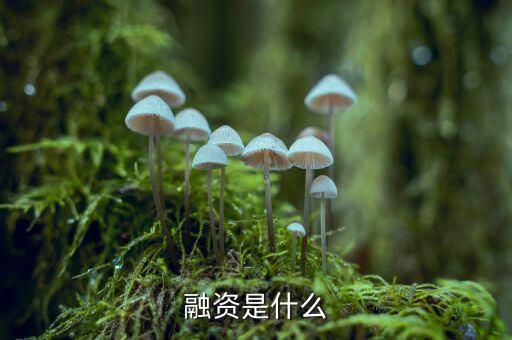 融資是什么