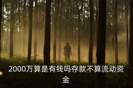 2000萬算是有錢嗎存款不算流動資金