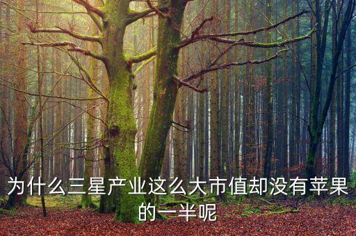 為什么三星產(chǎn)業(yè)這么大市值卻沒(méi)有蘋(píng)果的一半呢