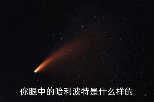 你眼中的哈利波特是什么樣的