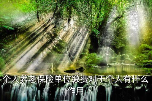 個(gè)人養(yǎng)老保險(xiǎn)單位繳費(fèi)對(duì)于個(gè)人有什么作用