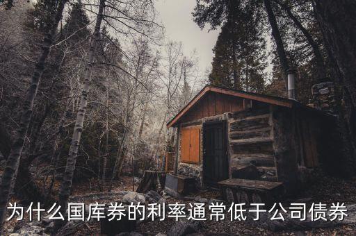 為什么國(guó)庫(kù)券的利率通常低于公司債券