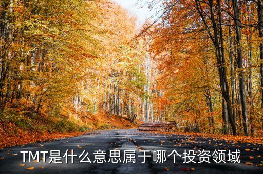 TMT是什么意思屬于哪個(gè)投資領(lǐng)域