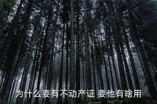 為什么要有不動(dòng)產(chǎn)證 要他有啥用